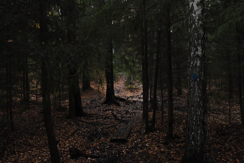Olarin terveysluontopolun tunnelmaa