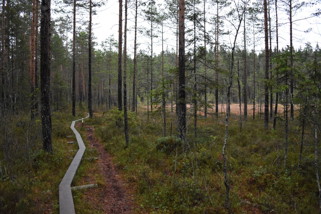 Pitkospuut Kaarniaispolulla