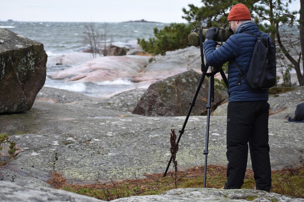 Lintujen tarkkailua Kokkokalliolla