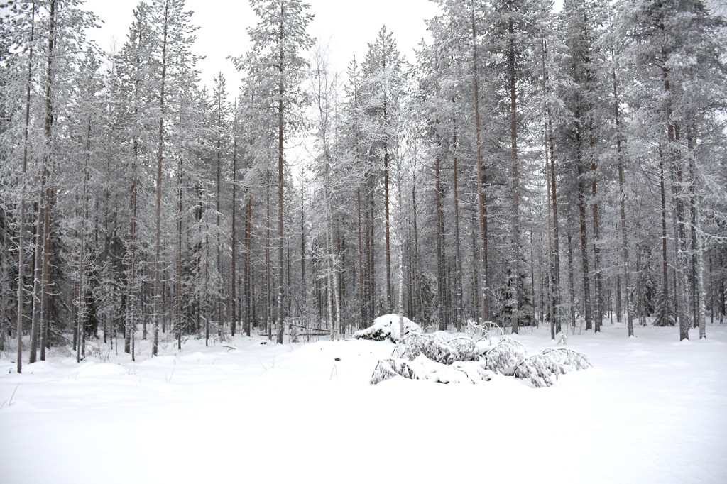 Luminen maisema napapiirillä