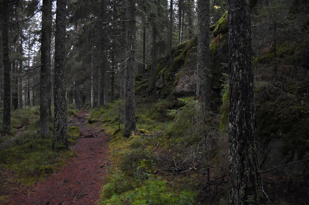 Kaarniaispolun kalliomaisemaa