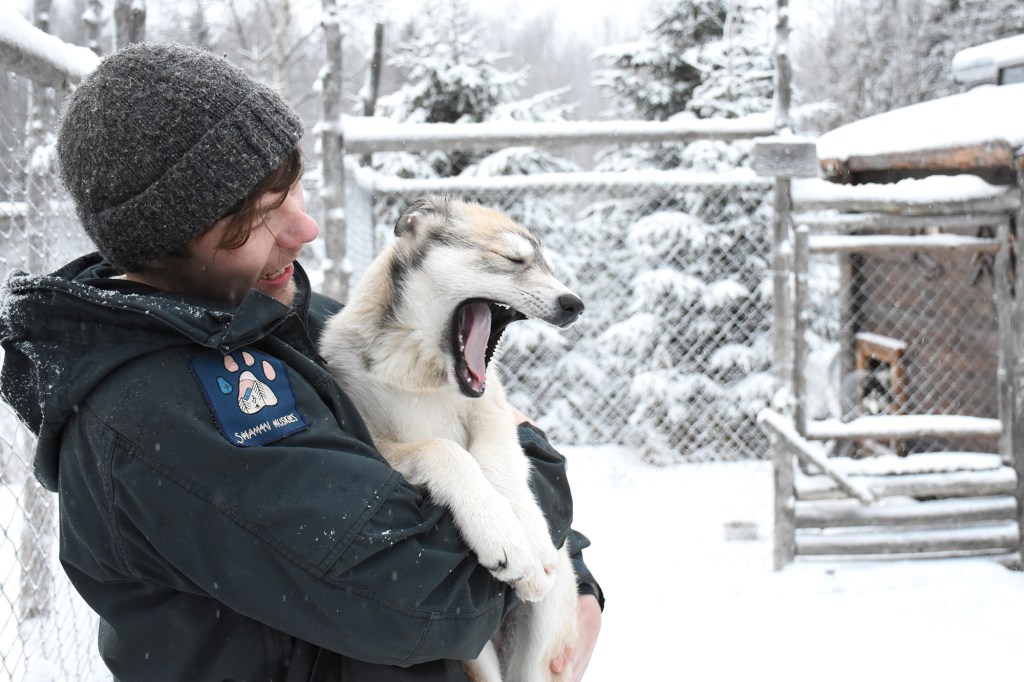 Shaman Huskies, Jussi ja tuleva johtajakoira