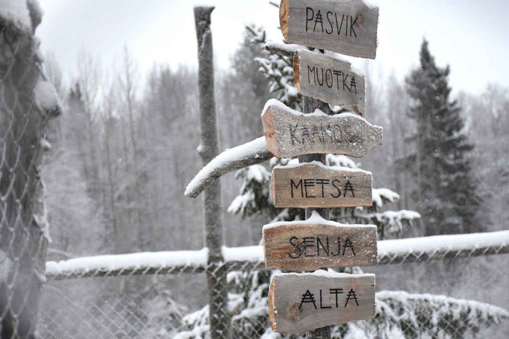 Shaman Huskies -pentujen nimikyltit