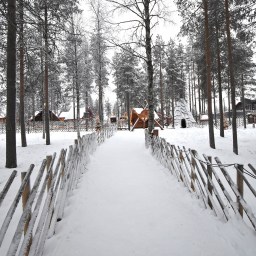 Onnistunut perhematka pohjoiselle napapiirille – hyödynnä tarjouskoodi!