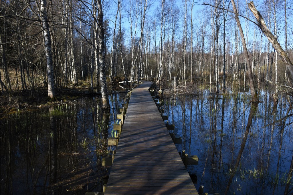 Kävelyä Nupurin luontopolulla