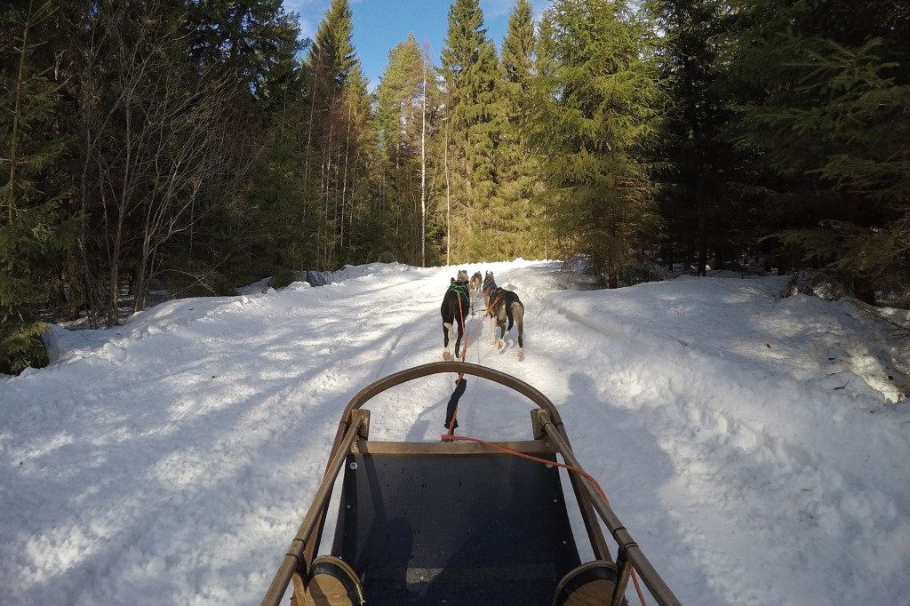 Nupun ja Nallon kierros - Vuokatti Safaris
