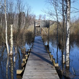 Nupurin lintutorni ja luontopolku Espoossa