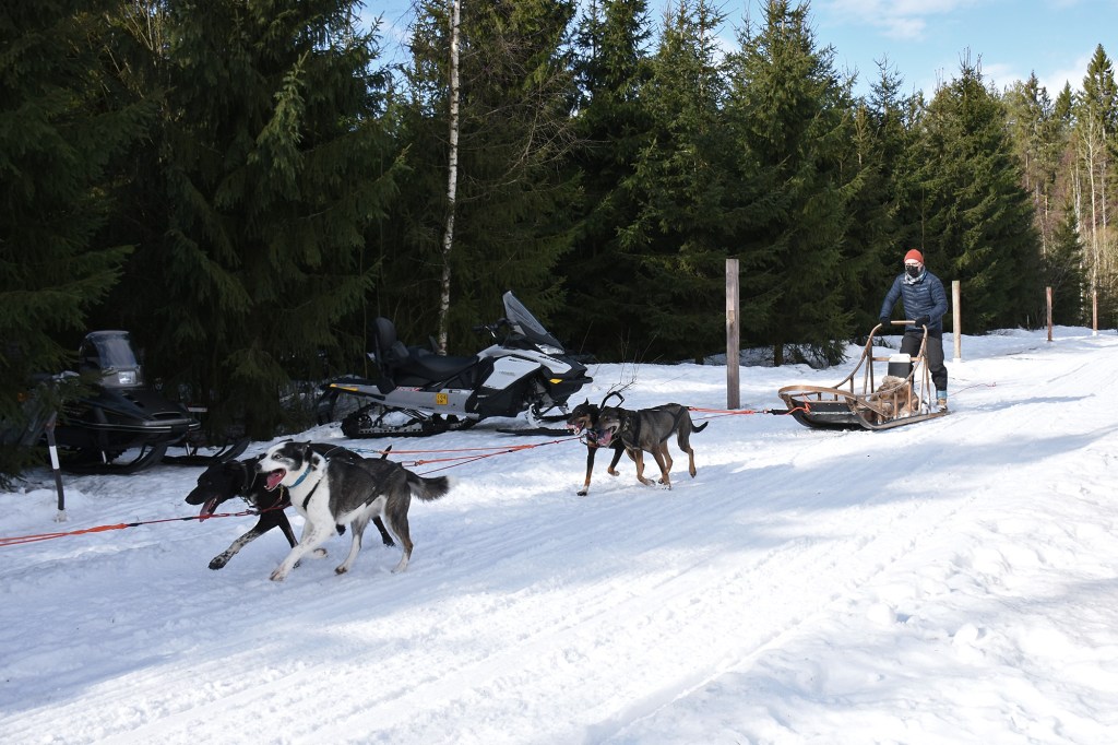 Vuokatti Safaris - vauhdin hurmaa
