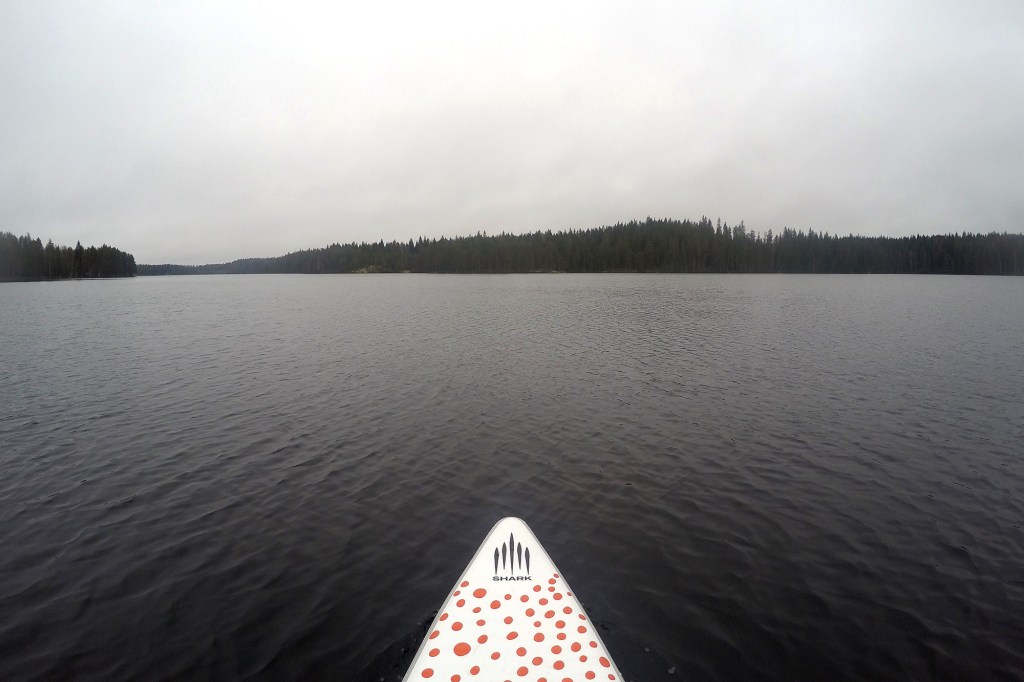 Toukokuisen harmaa suppailukeli