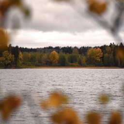 Syksykin on hyvää aikaa suppailla