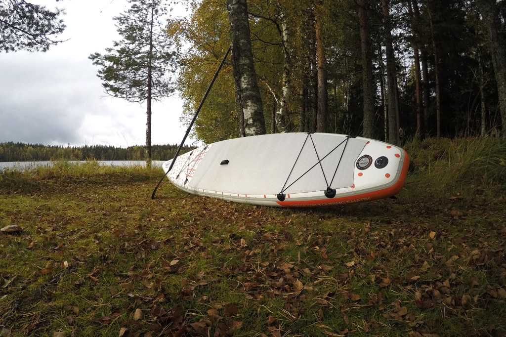 SharkSUP-lauta syksyllä