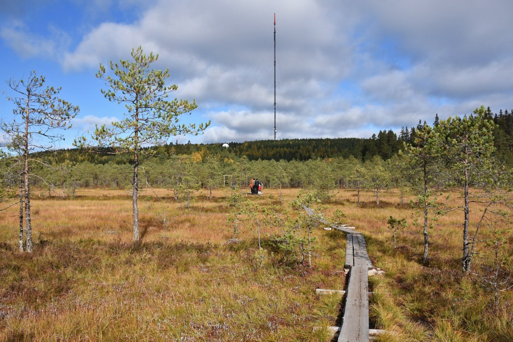 Soisalmensuon pitkospuilla