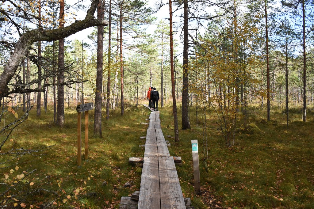 Soisalmensuon pitkospuiden alku