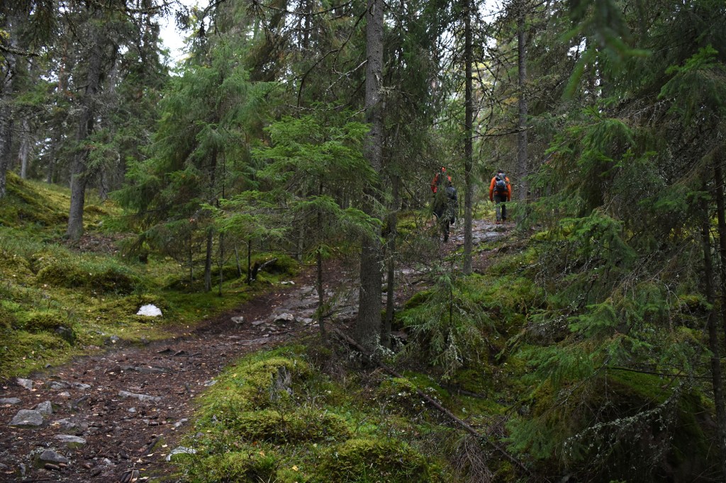 Tiirismaan kierroksella matkalla Pirunpesälle