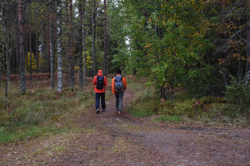 Tiirismaan patikointiretken alussa