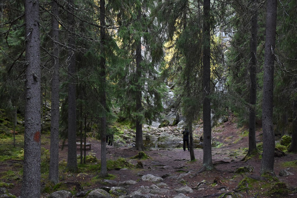 Tiirismaan Pirunpesä