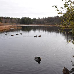 Espoon keskuspuiston reitit