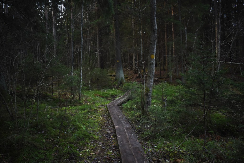 Pitkospuut Tikankierroksen luontopolulla