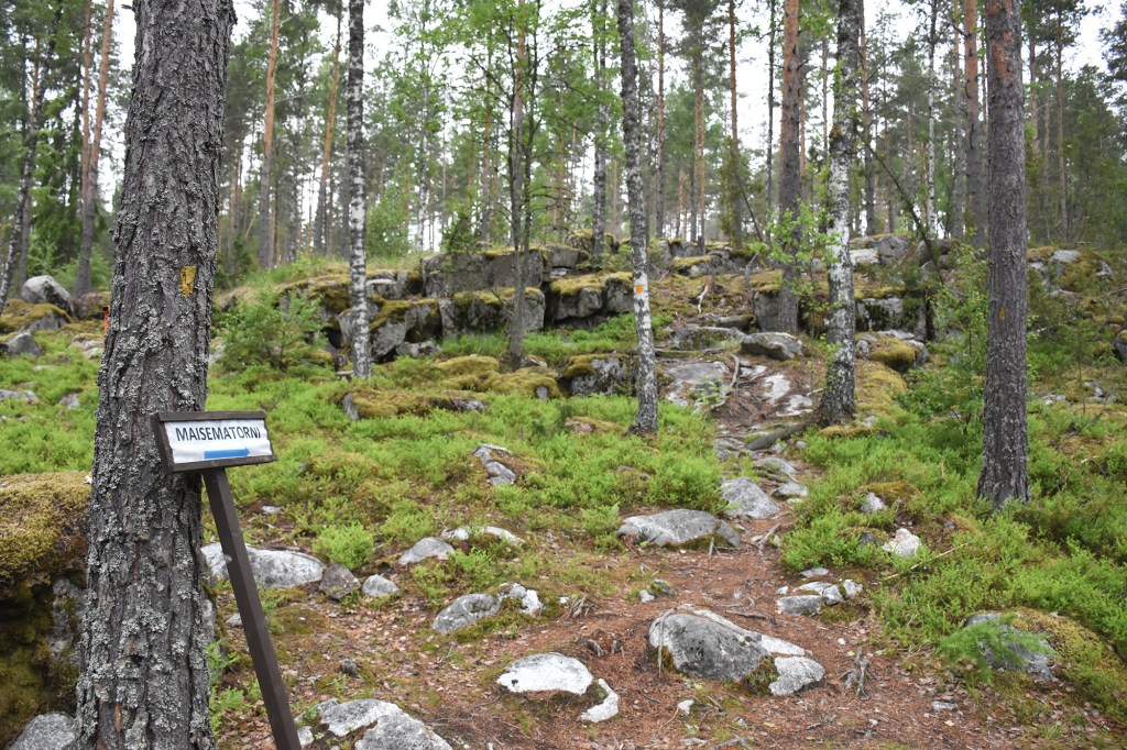 Metsäpolku Tuomastorneille