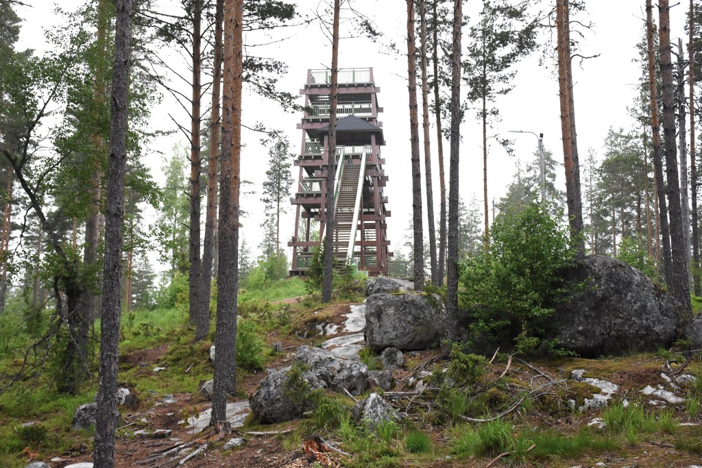 Padasjoen Tuomastornit metsäpolulta katsottuna