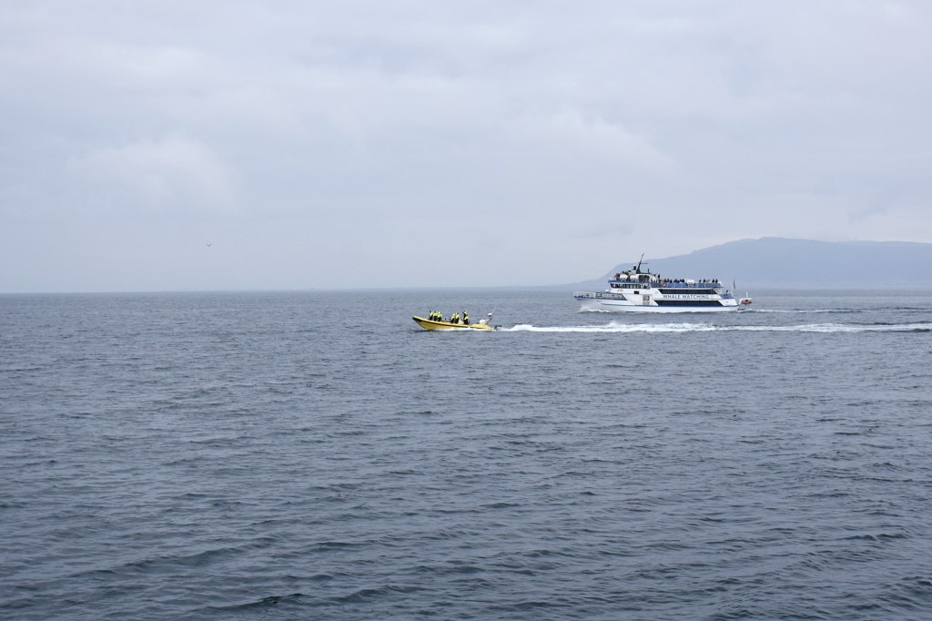 Valassafari - ruuhkaa vesillä