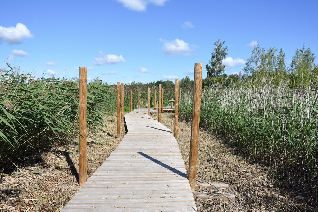 Kuningattarenrannan pitkospuut