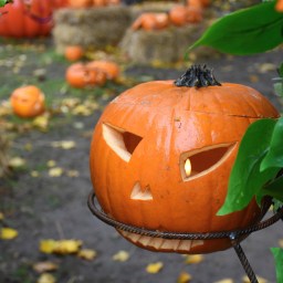 Halloweeks: koko perheen halloween-tapahtuma Puotilan Kartanolla