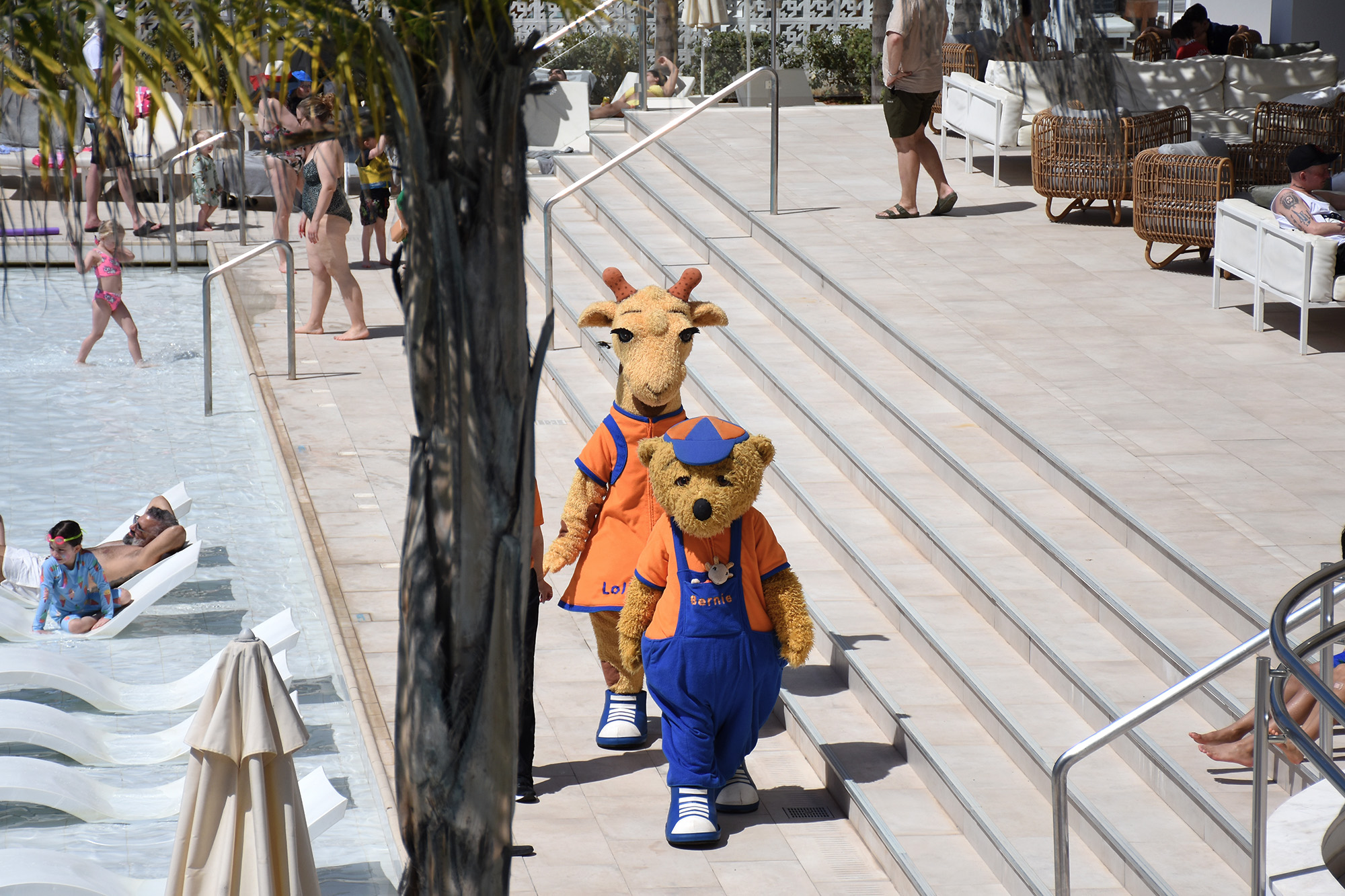 Lollo ja Bernie hotellin altaalla