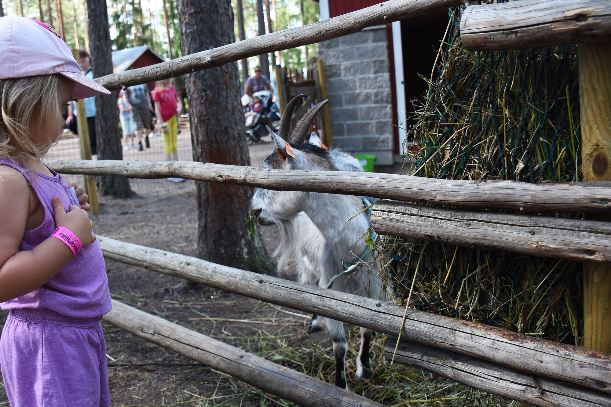 Tykkimäen Minimaatila