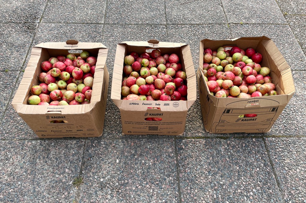 Omenalaatikot mahustamoon