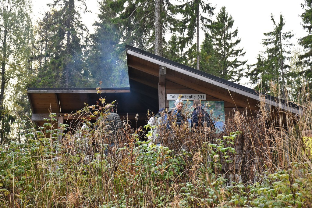 Mäkiaution Pöllölaavu