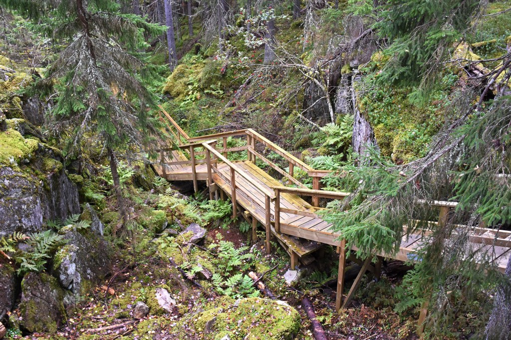 Portaat Tahkon tähtikierrokselta Mäkiaution rotkolle