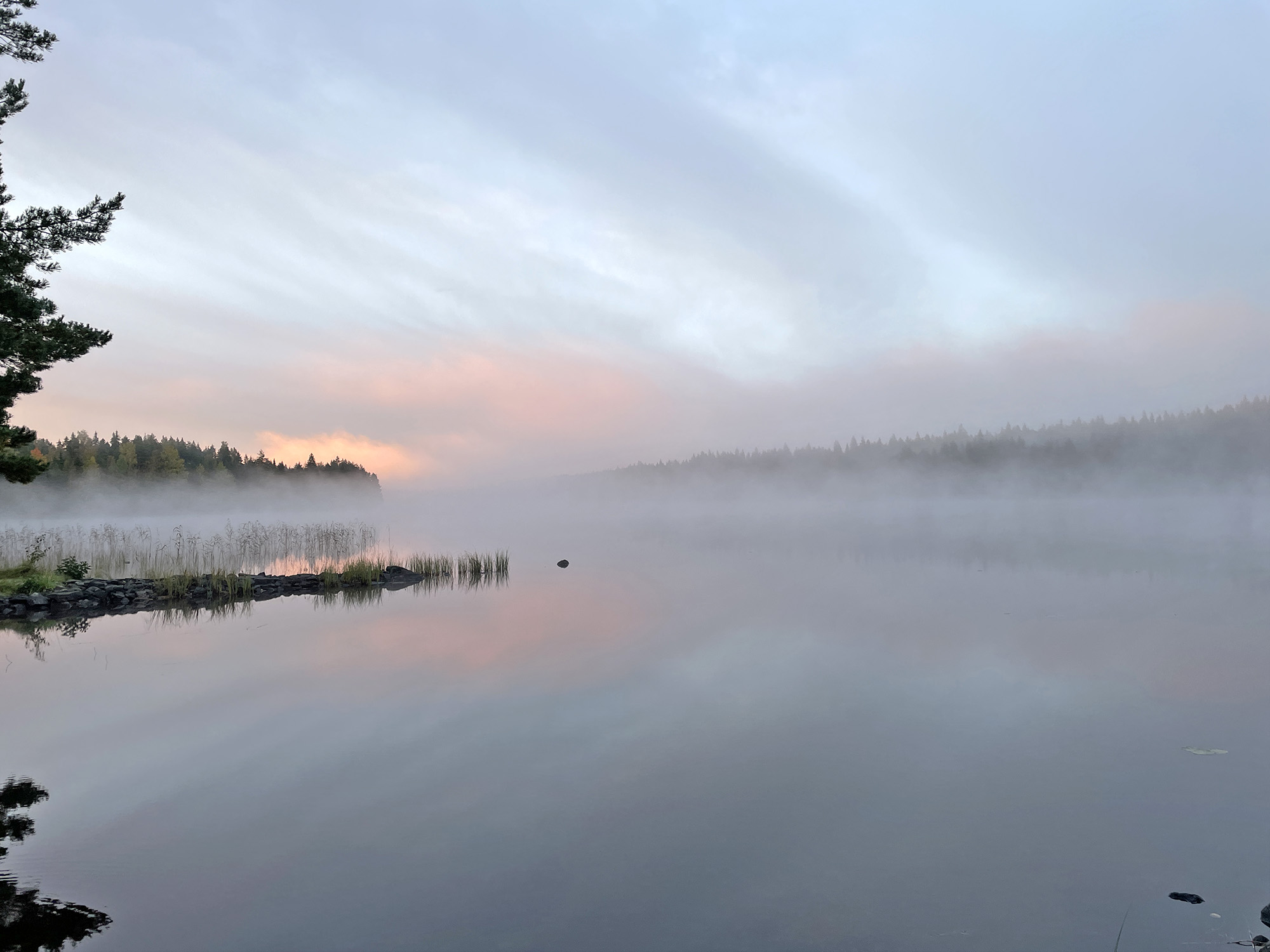 Aamu-usva ja auringonnousu
