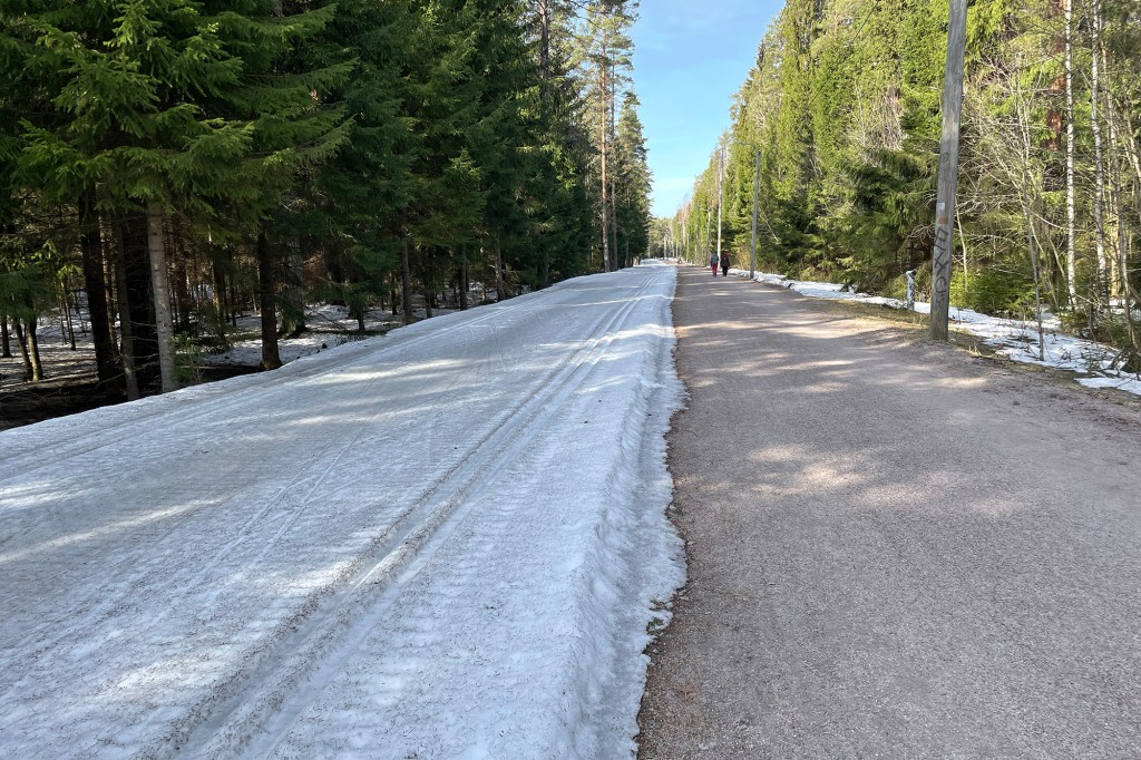 Espoon keskuspuiston ladut maaliskuussa