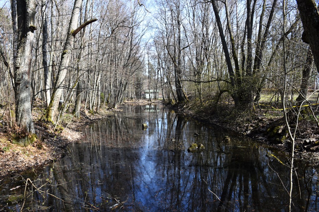 Kuninkaanlampi Loviisassa