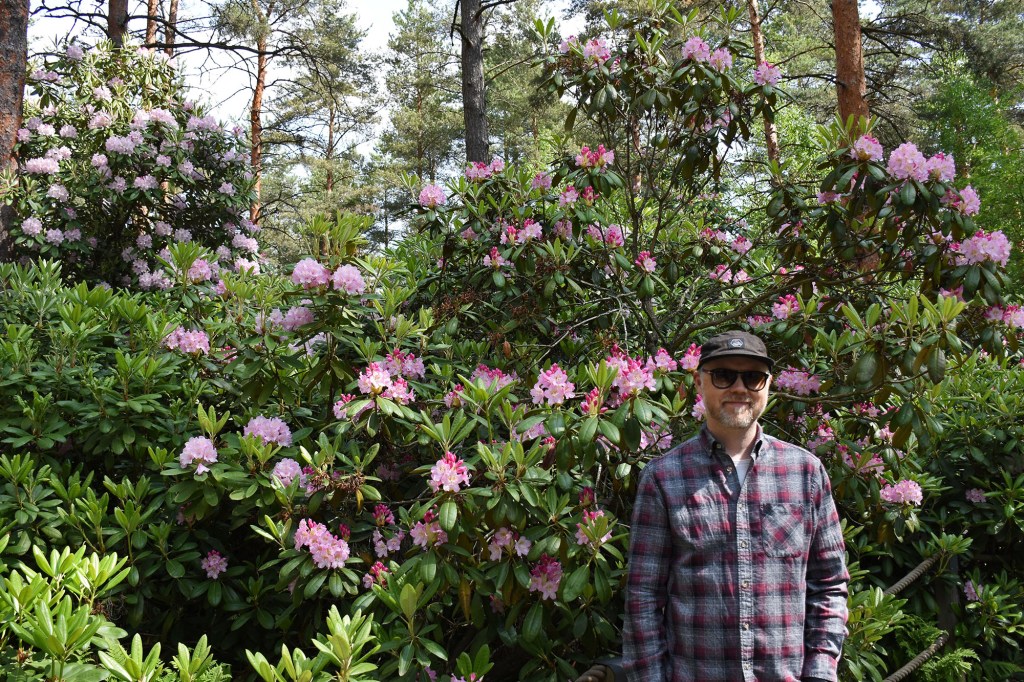 Antti Alppiruusupuistossa kesäkuussa 2025