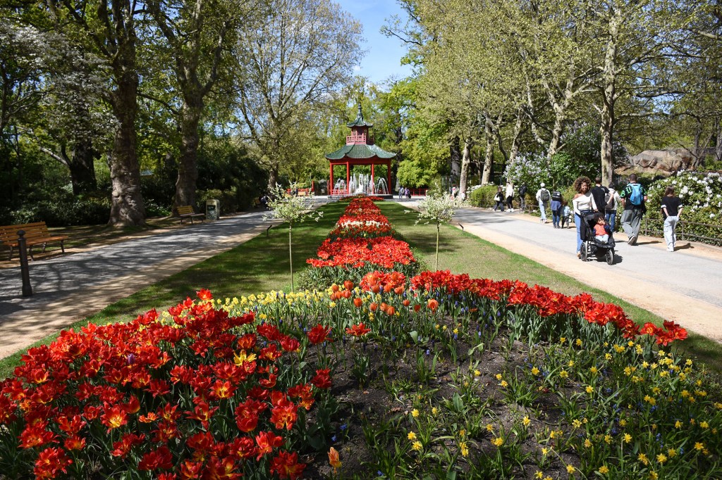 Kukkaloistoa matkalla Panda Gardeniin