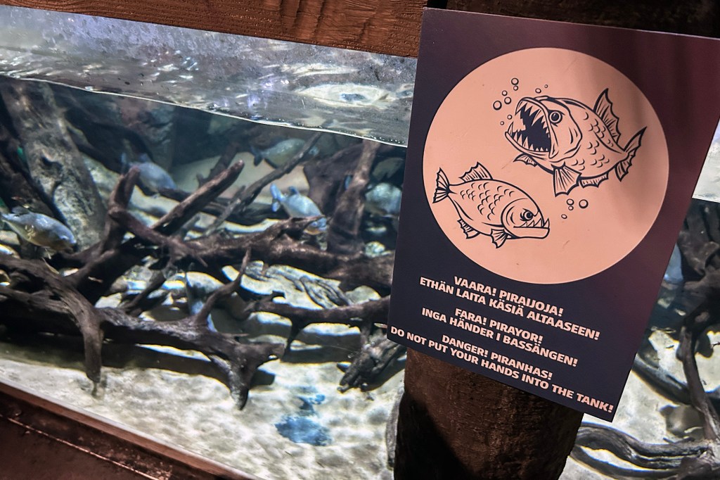 Varoitus piraijoista - SEA LIFE Helsinki