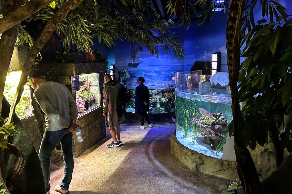 Sademetsä-näyttelyalue SEA LIFE Helsingissä