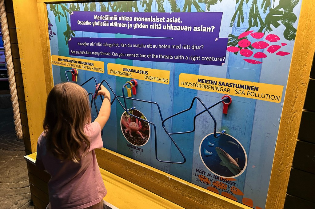 Merieläimien uhkien esittelyä SEA LIFE Helsingissä