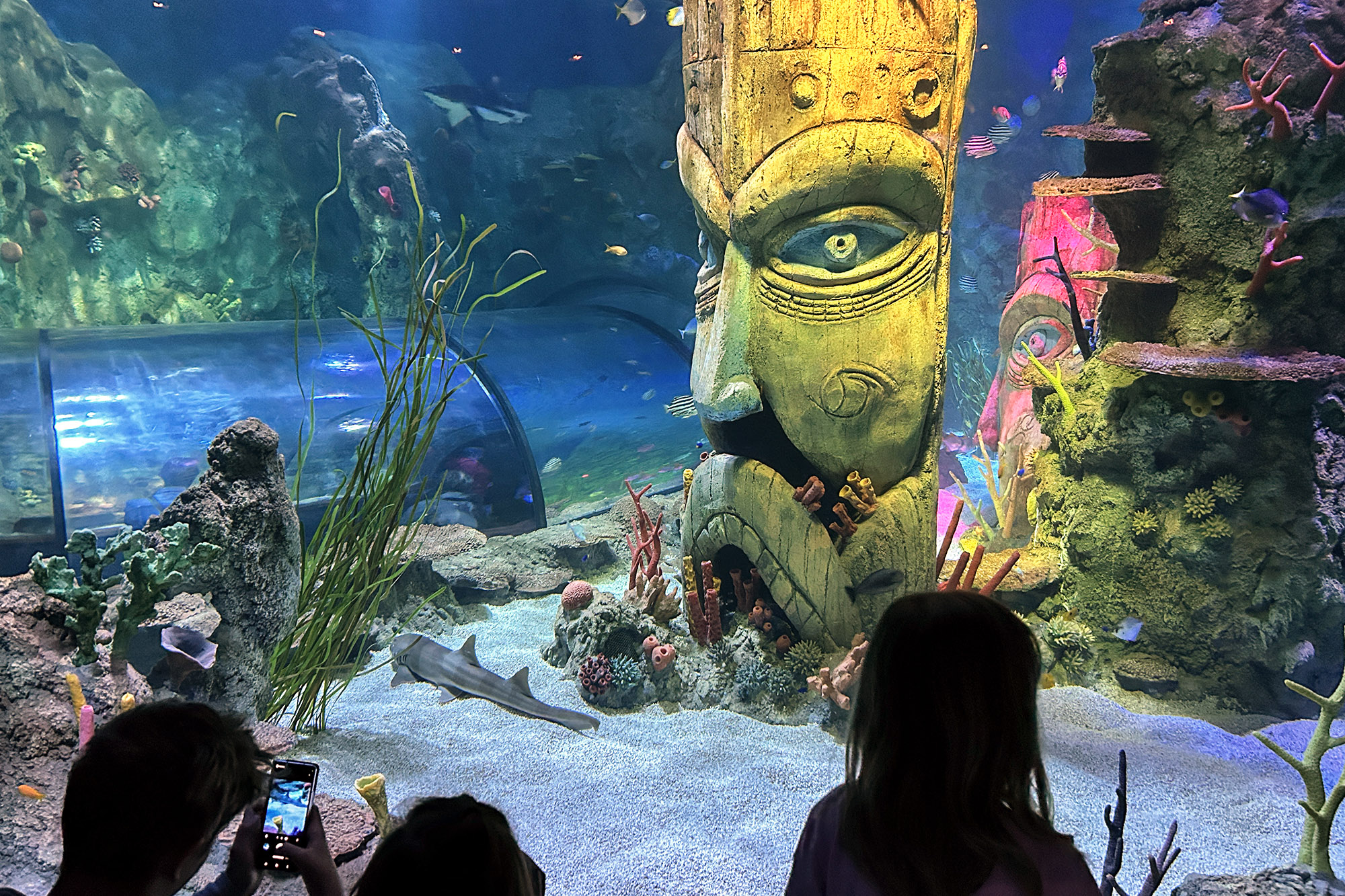 SEA LIFE Helsingin Valtameriallas