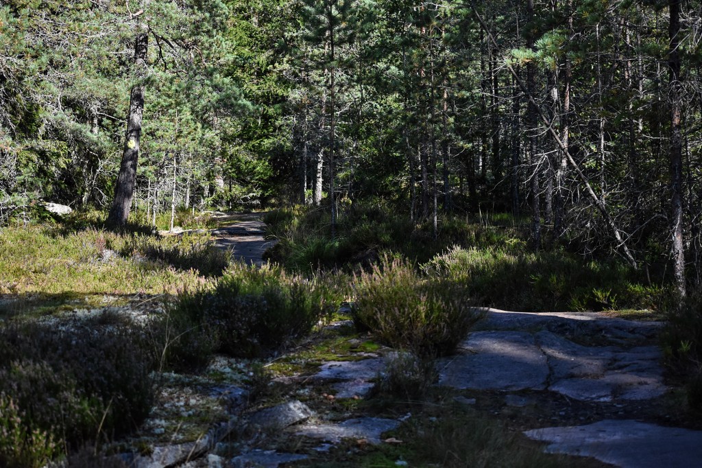 Bergön luontopolun kallioita