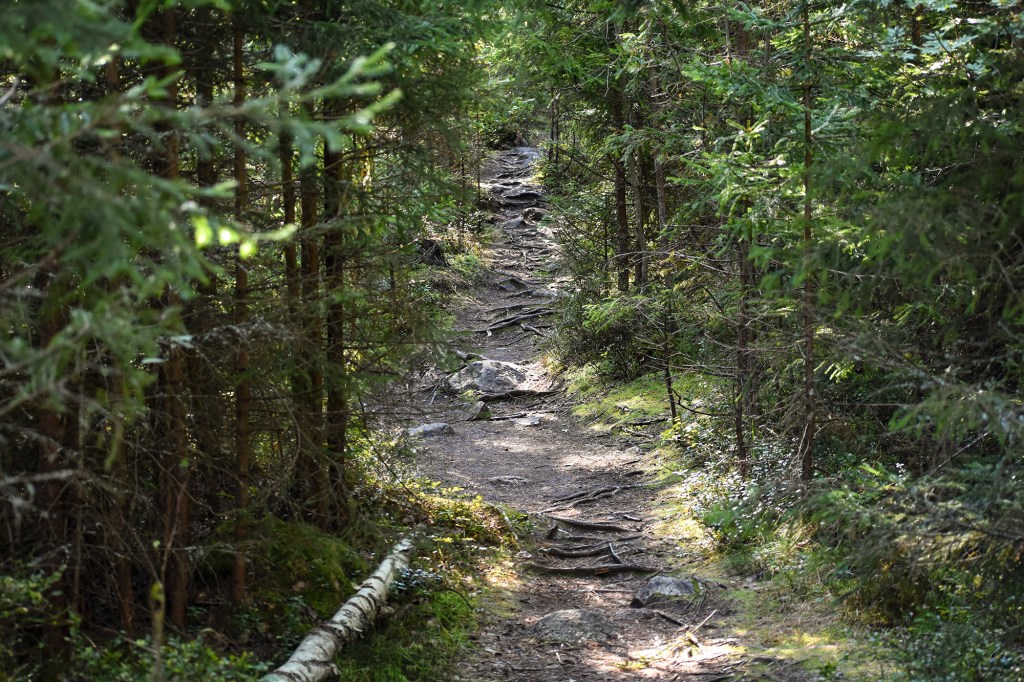 Bergön luontopolulla
